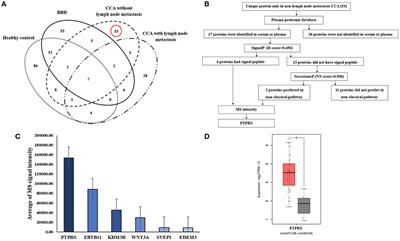 High expression of protein tyrosine phosphatase receptor S (PTPRS) is an independent prognostic marker for cholangiocarcinoma